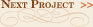 Next Project